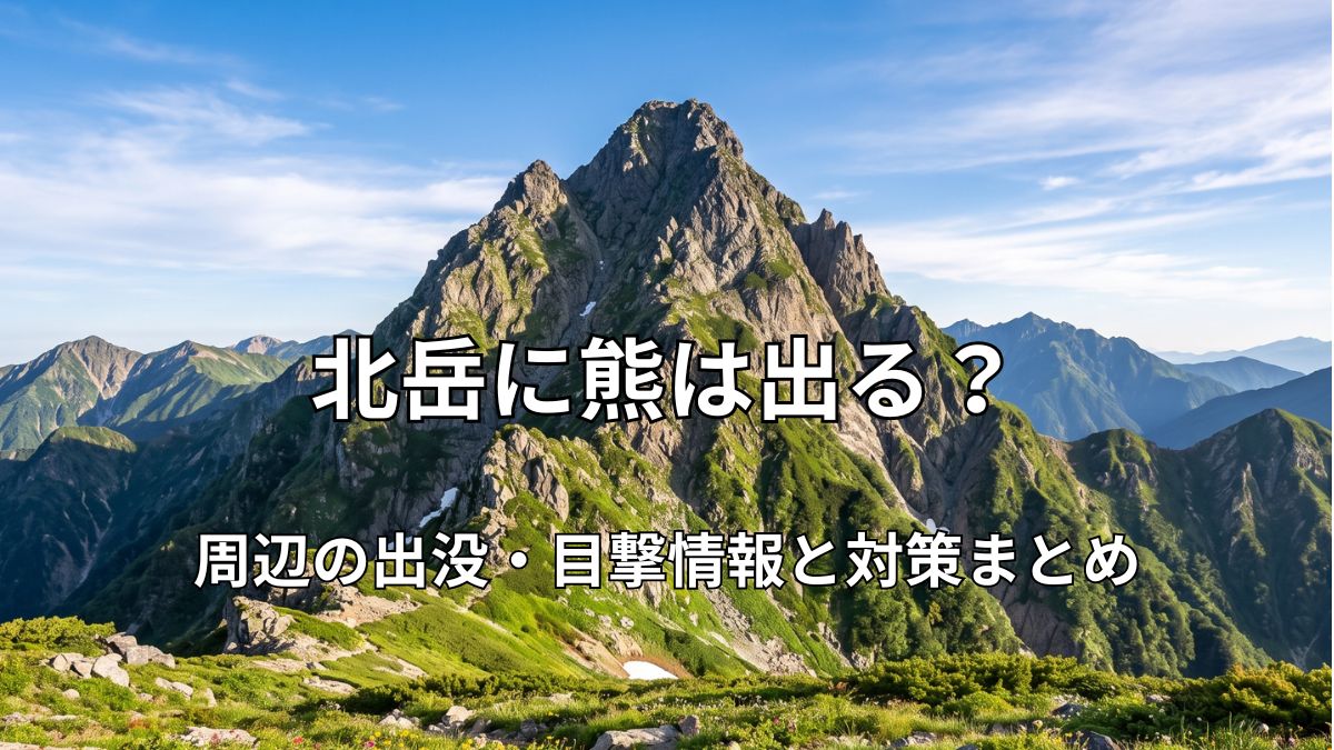 青空のもと、遠くに聳え立つ北岳の雄大な風景