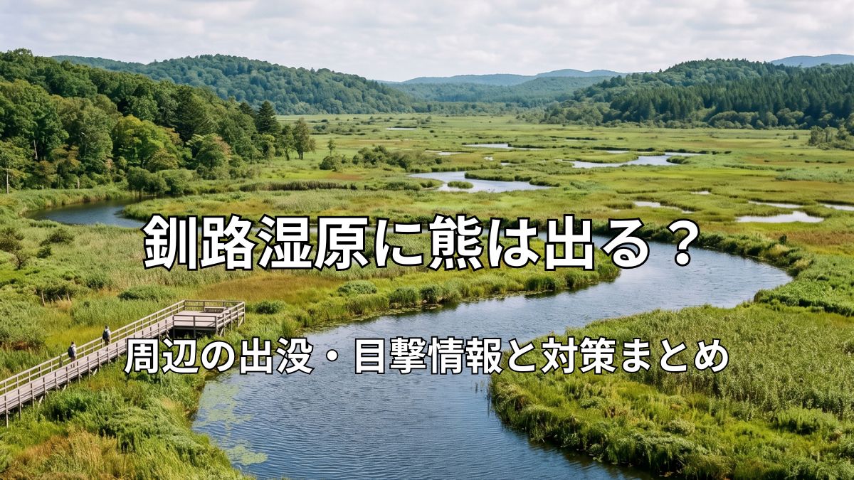 青空の下、豊かに生い茂る緑の釧路湿原と、美しく蛇行しながら流れる川、そして左側に見える観光用の木道の風景