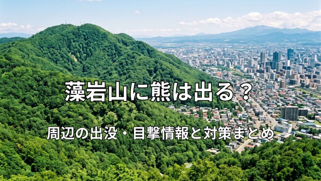 緑豊かな初夏の藻岩山山頂からの風景と、眼下に広がる札幌市街地の美しい街並み