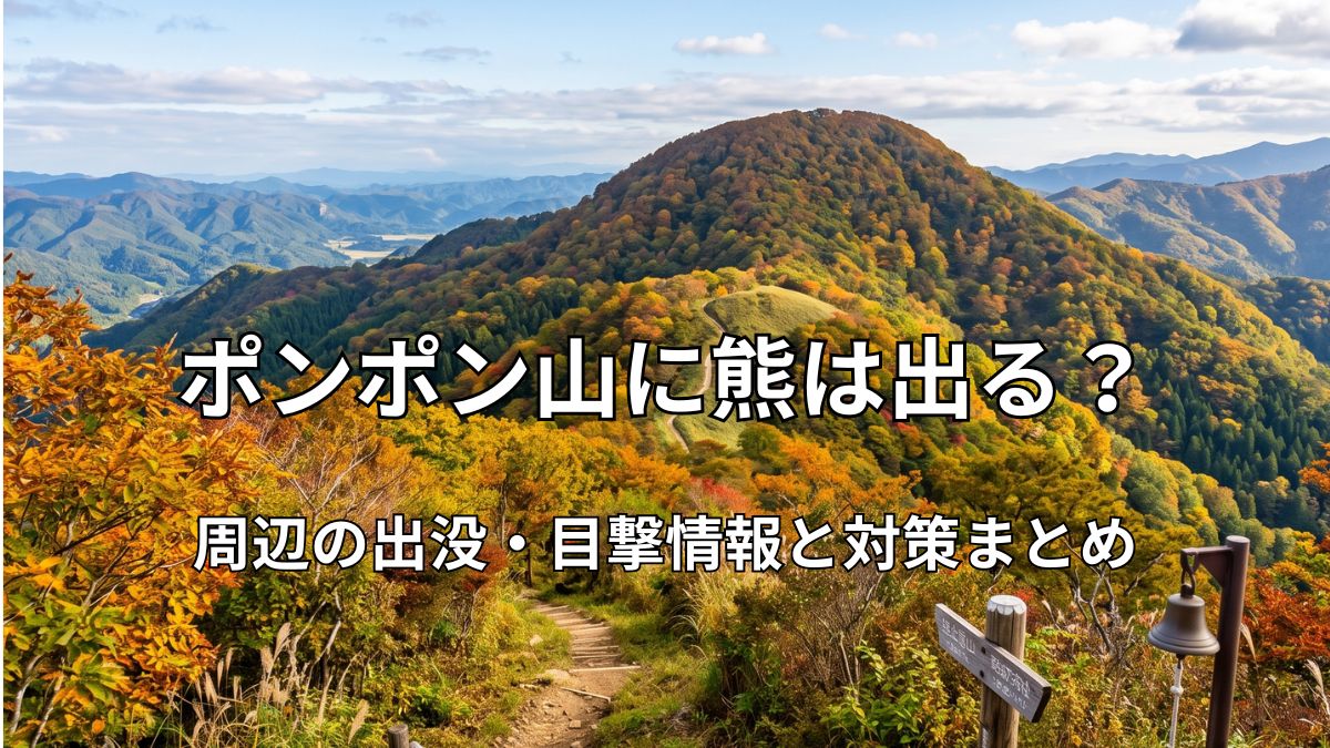 ポンポン山（加茂勢山）の美しい山並みと秋の登山道の景色