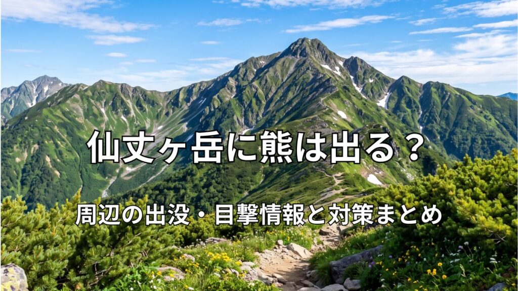 夏の青空のもと、高山植物が咲く登山道から望む南アルプス・仙丈ヶ岳の稜線と美しいカール地形