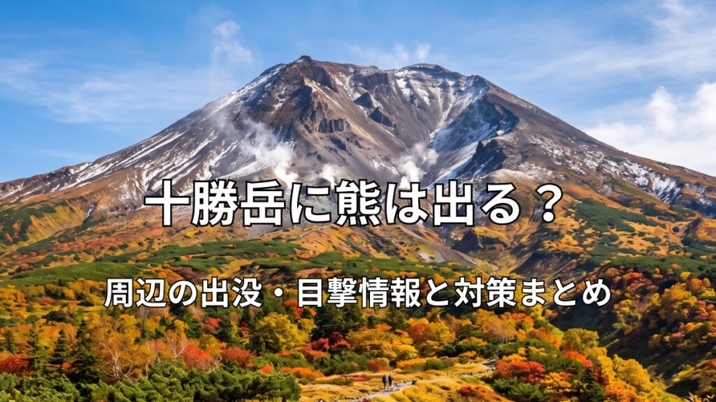 雄大な十勝岳の山肌から白い噴煙が立ち上る風景と、手前に広がる色鮮やかな紅葉の散策路