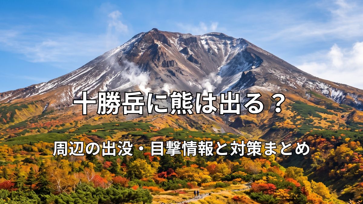 雄大な十勝岳の山肌から白い噴煙が立ち上る風景と、手前に広がる色鮮やかな紅葉の散策路