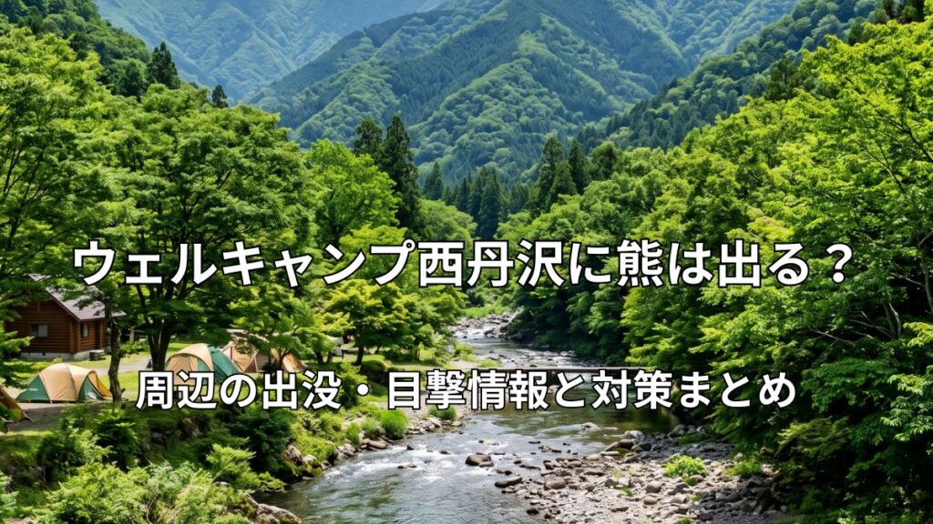 丹沢の豊かな山々と清流に囲まれた、ウェルキャンプ西丹沢の美しいキャンプサイトの風景