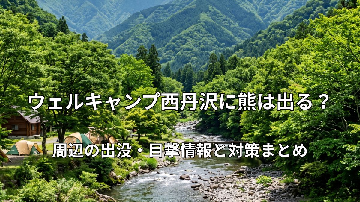 丹沢の豊かな山々と清流に囲まれた、ウェルキャンプ西丹沢の美しいキャンプサイトの風景