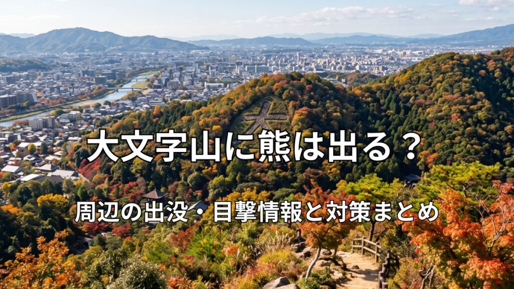 大文字山の登山道から望む「大」の送り火の火床と京都市街の美しい風景