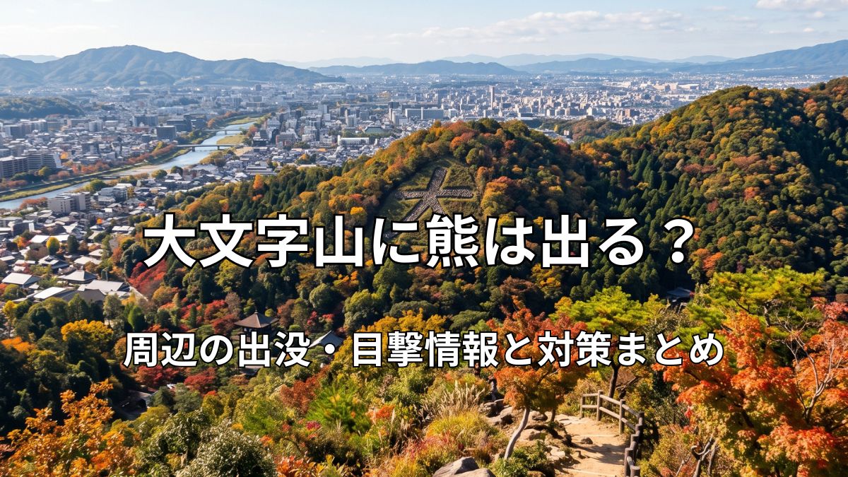 大文字山の登山道から望む「大」の送り火の火床と京都市街の美しい風景