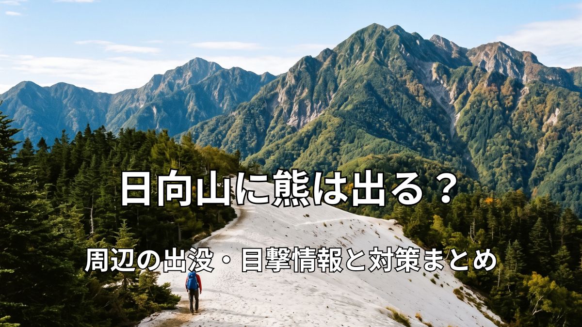 日向山山頂の「日向八ヶ岳」と呼ばれる白い砂浜のような尾根と甲斐駒ヶ岳を望む風景
