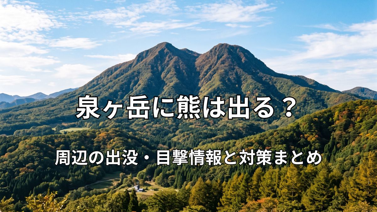 青空と緑豊かな山々が広がる泉ヶ岳の全景と登山道