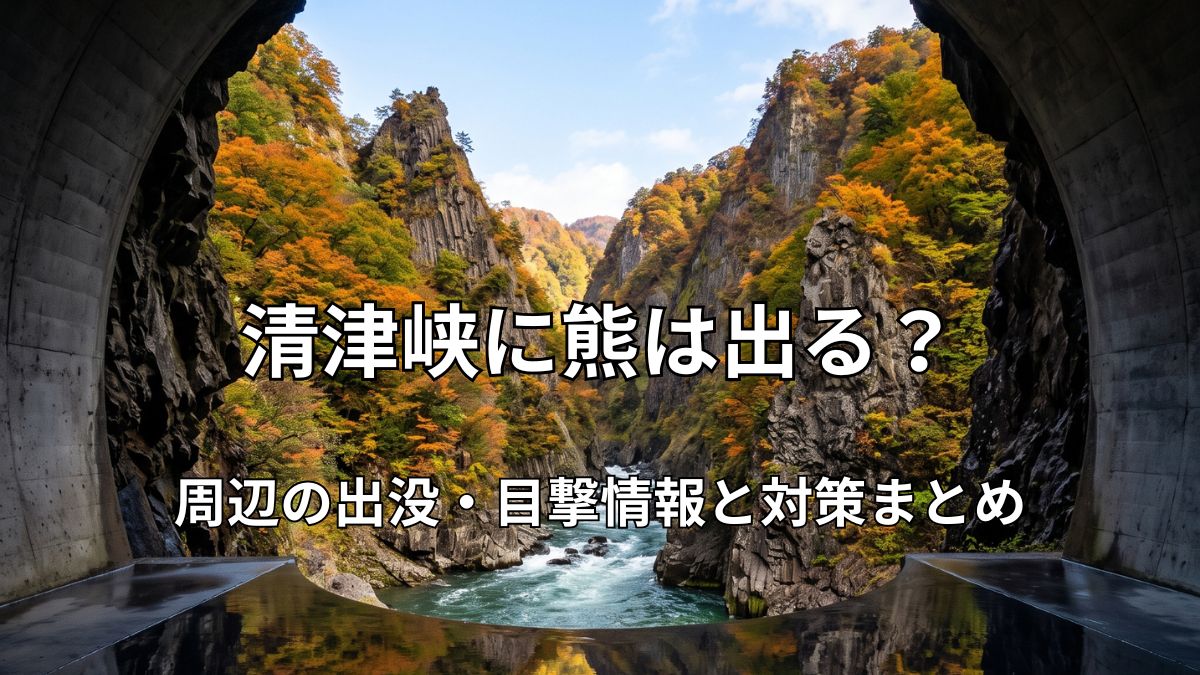 清津峡渓谷トンネルのパノラマステーションから望む峡谷の風景